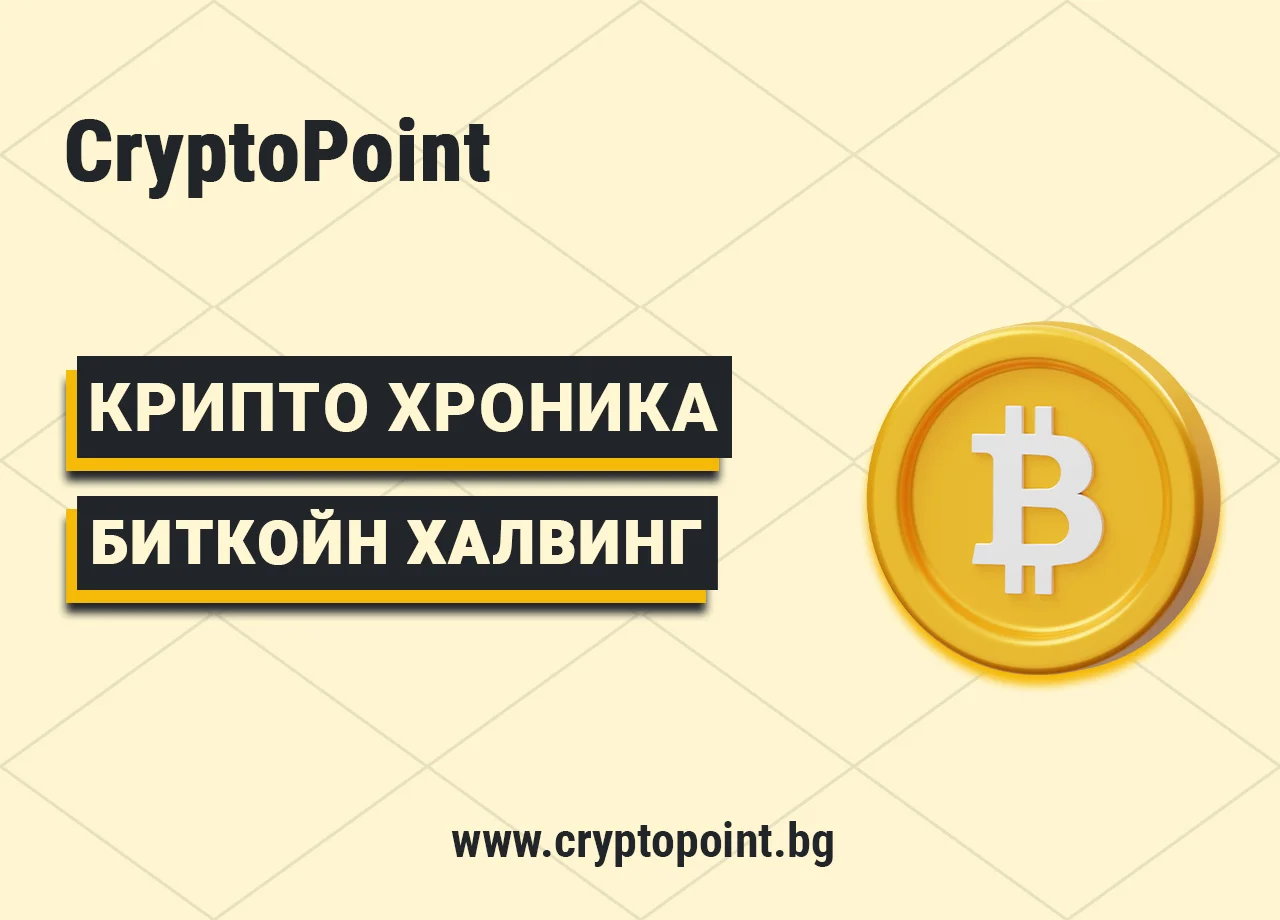 Bitcoin Halving – History, Effects, And What To Expect bitcoin halving – history, effects, and what to expect