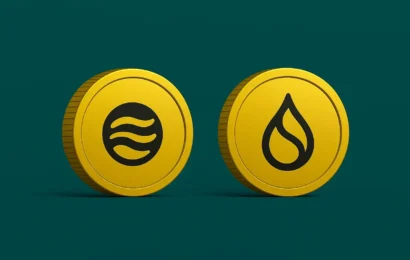 sui vs sei: why one token is falling while the other is rising