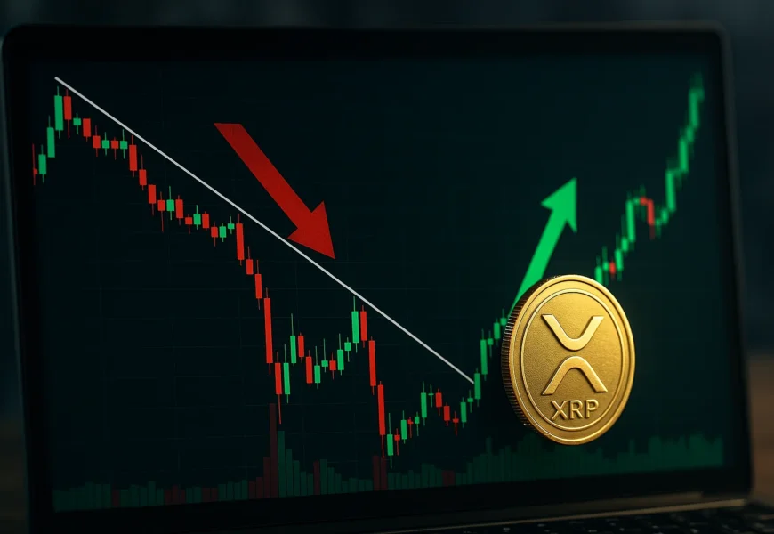 ripple: from free fall to rebound amid trade war tensions